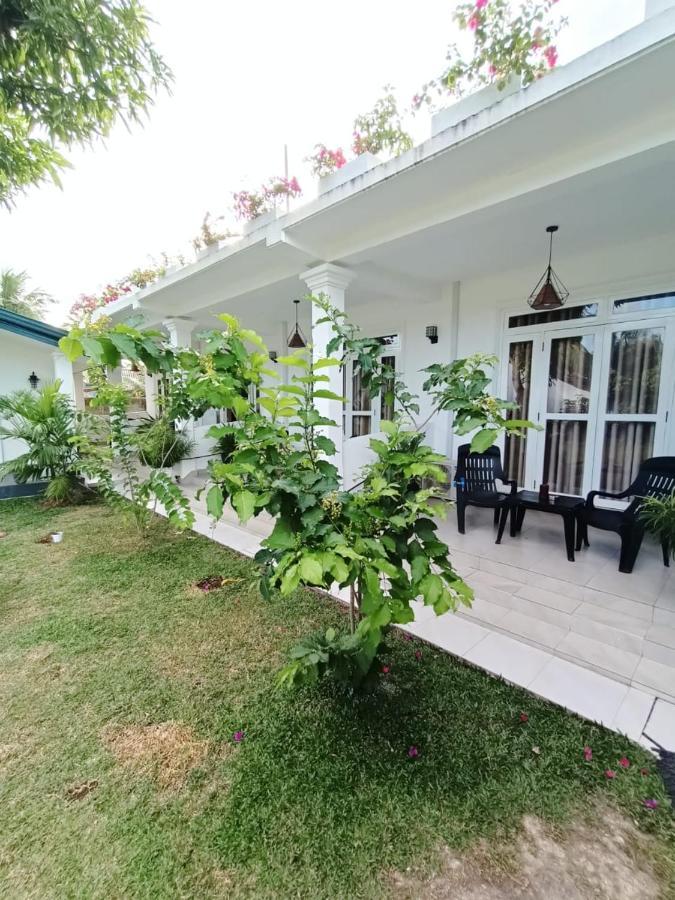 The Bamboo Tree Transit Hotel Katunayaka Екстериор снимка