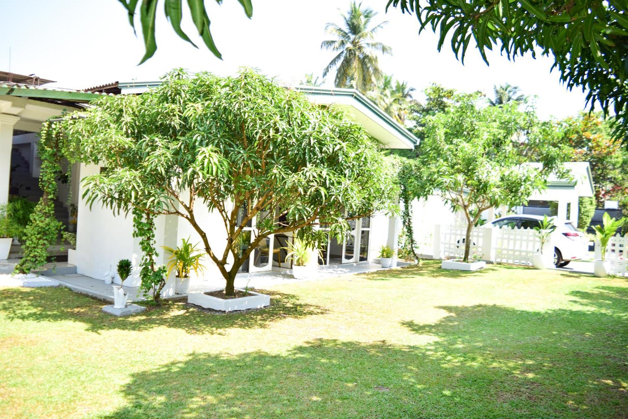 The Bamboo Tree Transit Hotel Katunayaka Екстериор снимка