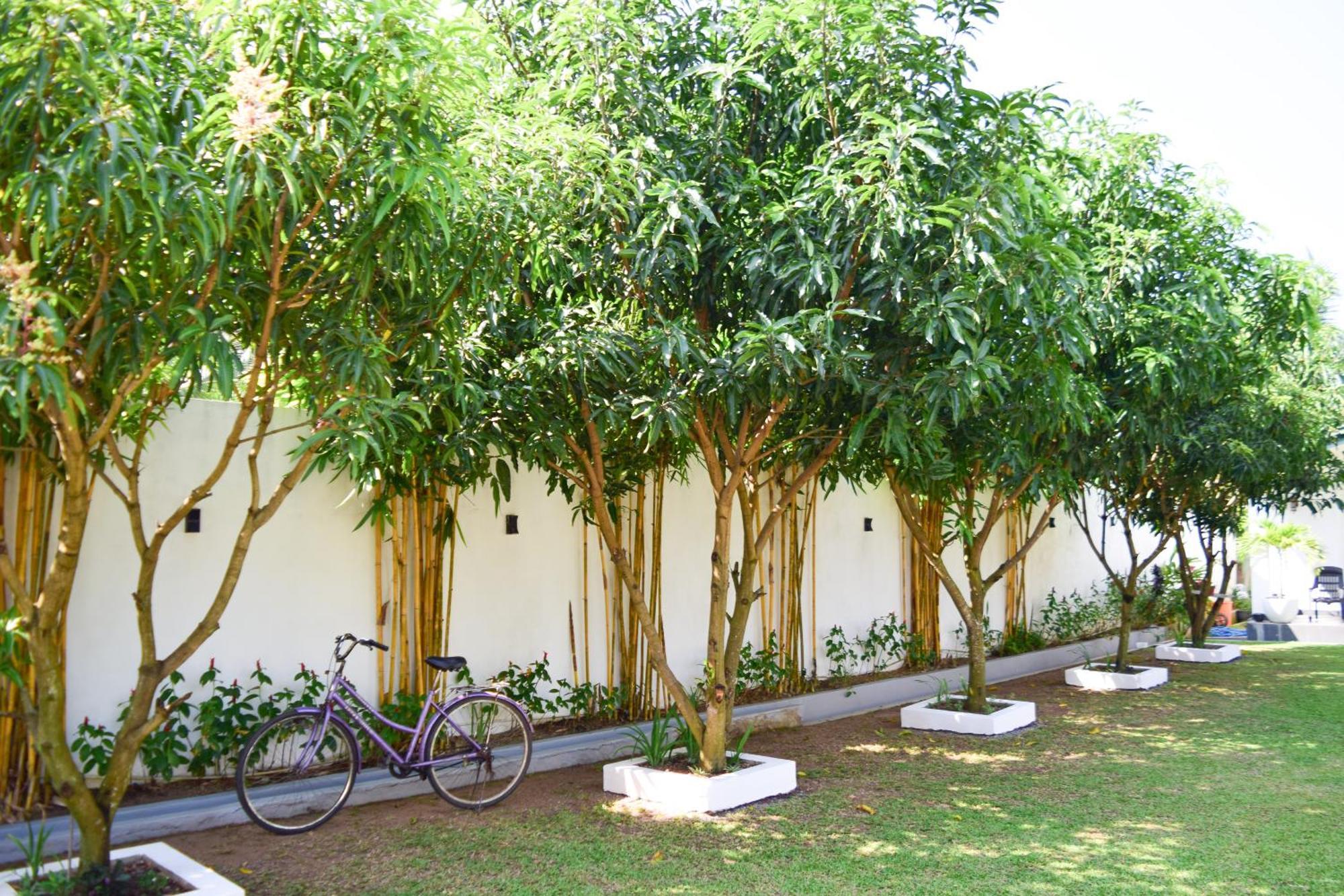 The Bamboo Tree Transit Hotel Katunayaka Екстериор снимка